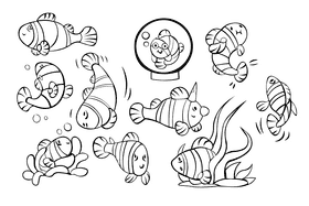 Clownfish black and white vector