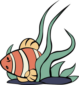 Clownfish Algae clipart