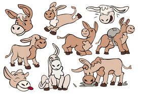 Donkey vector