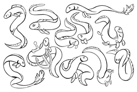 Eel black and white vector