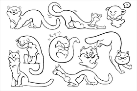 Ferret black and white vector