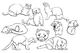 Ferret black and white vector