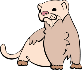 Ferret Front clipart