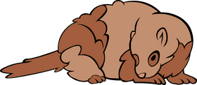 Ferret animal clipart