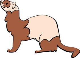 Ferret clipart