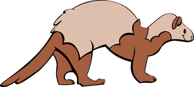Ferret clipart