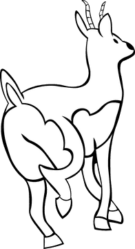 Gazelle black and white clipart