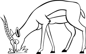Gazelle Eating black and white clipart