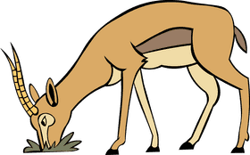 Gazelle Eating clipart