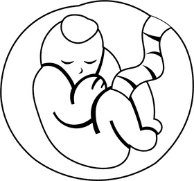 Pregnant Uterus black and white clipart