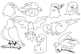 Falcon black and white vector