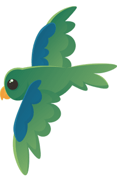 Macaw Fly clipart