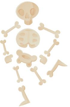 Skeleton clipart