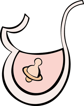 Baby Bib Pacifier clipart