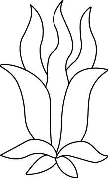 Algae black and white clipart