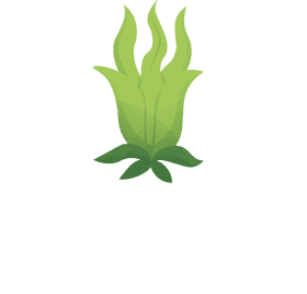 Algae clipart