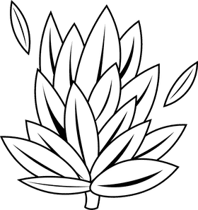 Algae black and white clipart