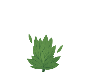 Algae clipart