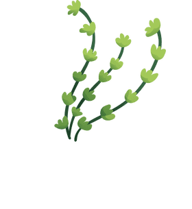 Algae clipart