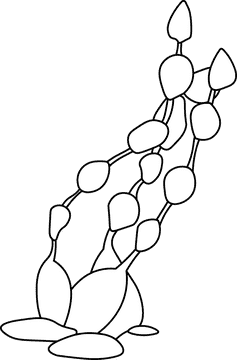 Algae black and white clipart