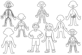 Human Body black and white vector