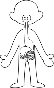 Human Body Gastrointestinal black and white clipart