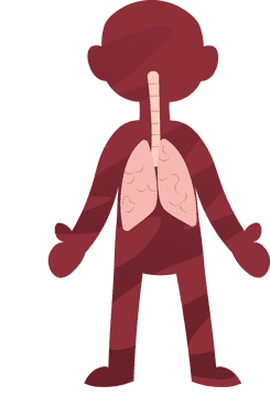 Human Body Lungs clipart