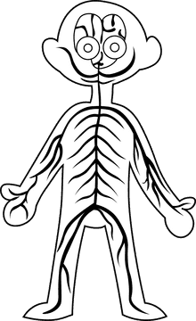 Human Body Nerves black and white clipart