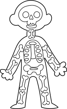 Human Body Skeleton black and white clipart