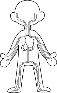 Human Body Cardiovascular black and white clipart