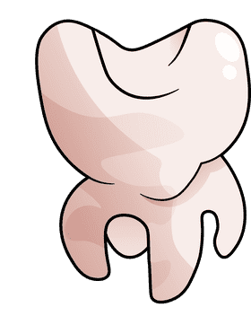 Tooth Molar clipart