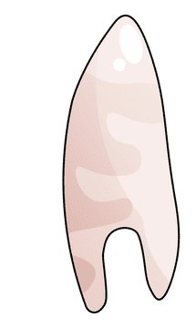 Tooth clipart