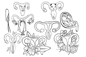 Uterus black and white vector