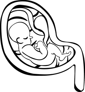 Uterus with Child black and white clipart
