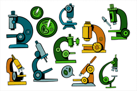 Microscope vector