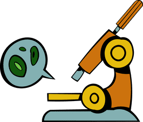 Microscope clipart