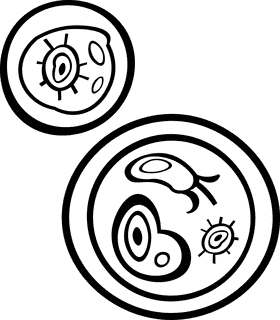 Petri dish black and white clipart