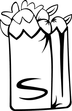 Store Paper Bag Fruits black and white clipart