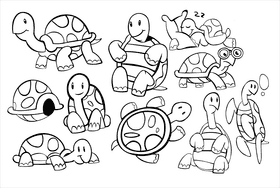 Tortoise black and white vector