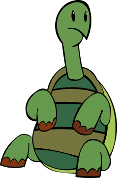 Tortoise Sitting clipart