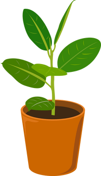 Potted plant clipart