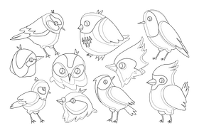 Birds black and white vector