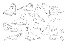 Sea lion black and white vector