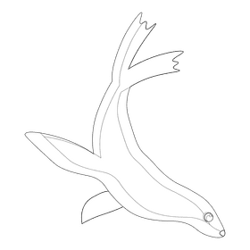 Sea lion black and white clipart