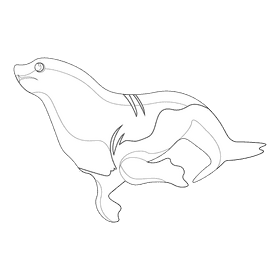 Sea lion black and white clipart