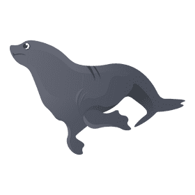 Sea lion clipart