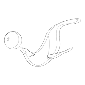 Sea lion black and white clipart