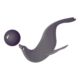 Sea lion clipart