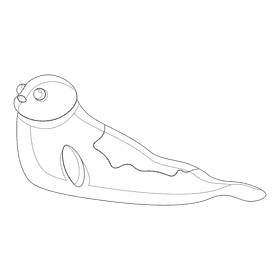 Sea lion black and white clipart