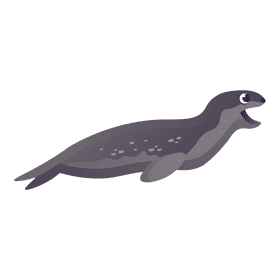 Sea lion clipart